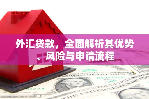 通榆外汇贷款，全面解析其优势、风险与申请流程