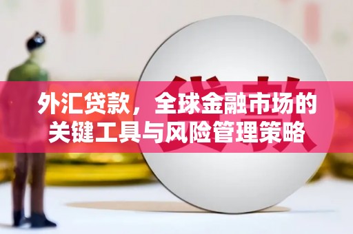 通榆外汇贷款，全球金融市场的关键工具与风险管理策略