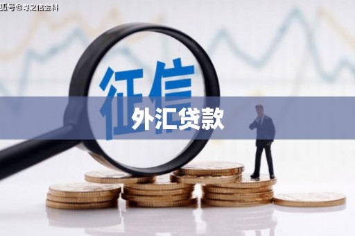 通榆外汇贷款