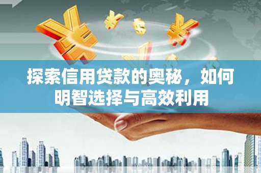 通榆探索信用贷款的奥秘，如何明智选择与高效利用