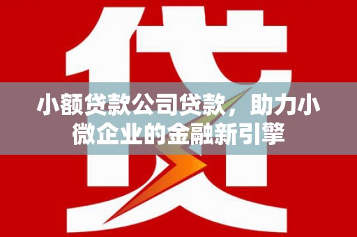 通榆小额贷款公司贷款，助力小微企业的金融新引擎