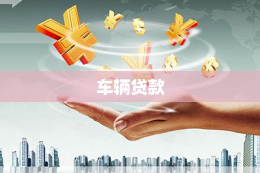 通榆车辆贷款