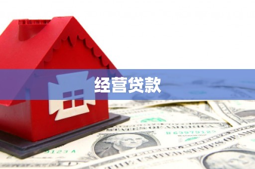 通榆经营贷款