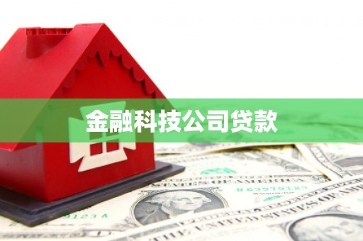 通榆金融科技公司贷款