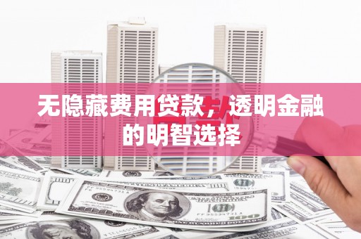 通榆无隐藏费用贷款，透明金融的明智选择