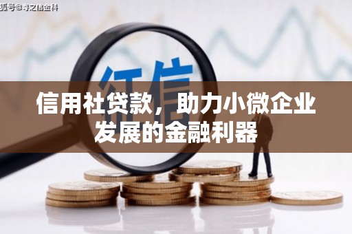 通榆信用社贷款，助力小微企业发展的金融利器
