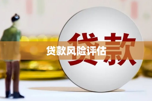 通榆贷款风险评估