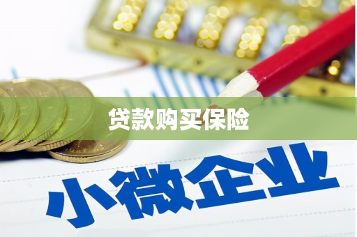 通榆贷款购买保险