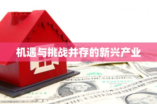 通榆机遇与挑战并存的新兴产业