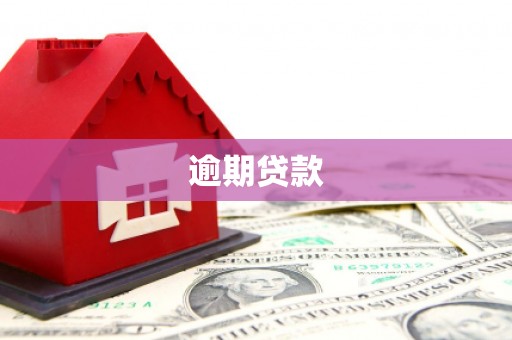 通榆逾期贷款